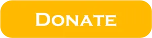 Online Donation Button PNG image