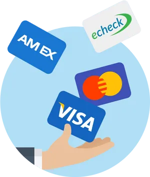 Online Payment Options Illustration PNG image