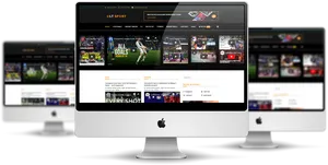 Online Sports Store Website Display PNG image