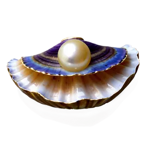 Open Clam With Pearl Png 05242024 PNG image