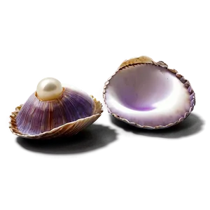 Open Clam With Pearl Png Beo37 PNG image