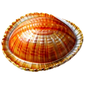 Open Clam With Pearl Png Eer PNG image