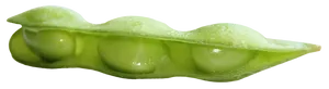 Open Green Pea Pod PNG