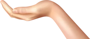 Open Palm Hand Clipart PNG image