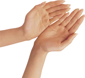 Open Palms Hand Gesture Clipart PNG image