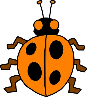 Orange Black Ladybug Illustration PNG image