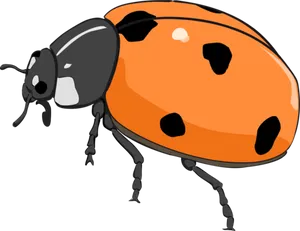 Orange Black Ladybug Illustration PNG image