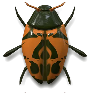 Orange Black Ladybug On Dark Background PNG image