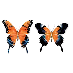 Orange Butterflies PNG 57 PNG