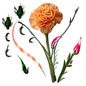 Orange Carnation Love PNG Wix PNG