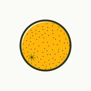 Orange Circle Vector Illustration