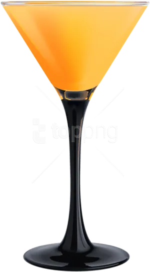 Orange Cocktailin Martini Glass PNG image