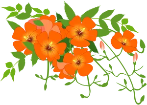 Orange Floral Vine Illustration PNG image