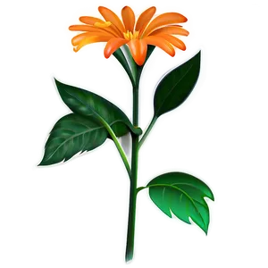 Orange Flower A