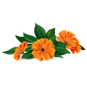 Orange Flower Field PNG 49