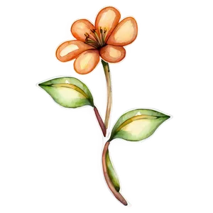 Orange Flower Watercolor Png Gmw PNG image