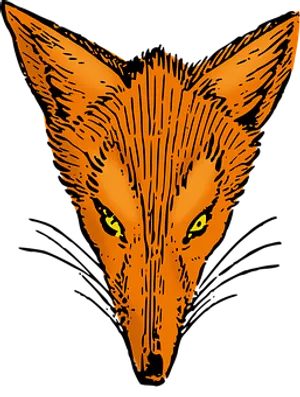 Orange Fox Face Illustration