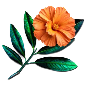 Orange Garden Flower Png 91 PNG image