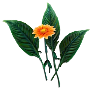 Orange Garden Flower PNG Uqn52 PNG