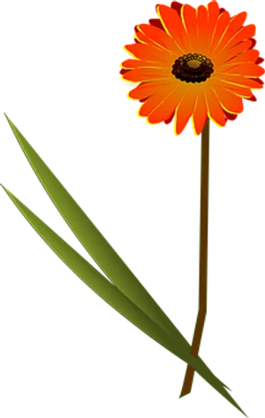Orange Gerbera Daisy Vector