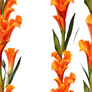 Orange Gladiolus Grace Png Wcu94 PNG image