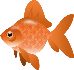 Orange Goldfish Illustration