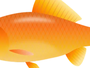 Orange Goldfish Illustration.png PNG image