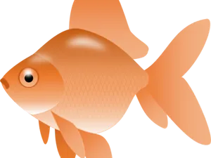 Orange Goldfish Illustration.png