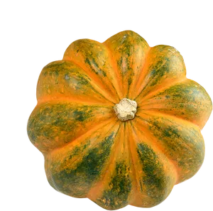 Orange Green Patterned Squash PNG image