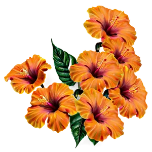Orange Hibiscus Beauty PNG 06122024