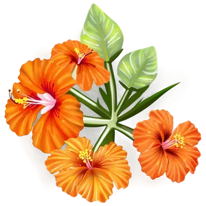 Orange Hibiscus PNG Ewj62
