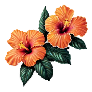 Orange Hibiscus PNG Wcm