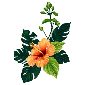 Orange Hibiscus PNG Yfd