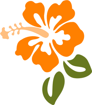 Orange Hibiscus Vector Art PNG image