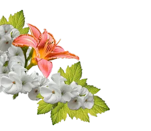 Orange Lily White Flowers Arrangement