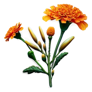 Orange Marigold Charm Png Kuu PNG image