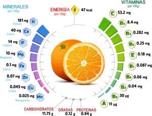 Orange Nutritional Information Graphic PNG image