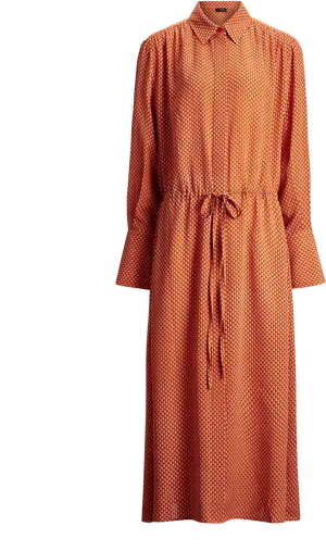 Orange Polka Dot Shirt Dress PNG image