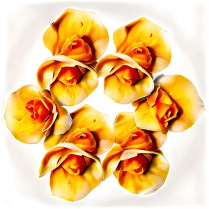 Orange Rose Petals Png Sxq10 PNG image