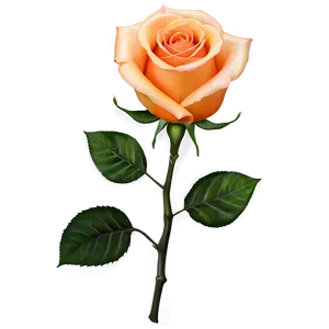 Orange Rose PNG 04292024