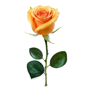 Orange Rose PNG 35