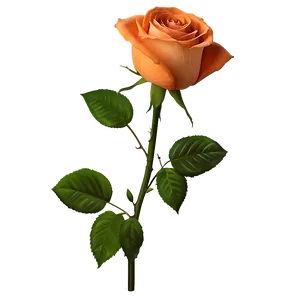 Orange Rose PNG Eab