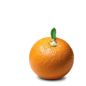 Orange Segment PNG Kla36 PNG