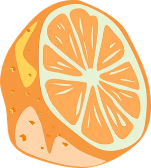 Orange Slice Illustration