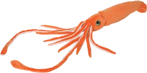 Orange Squid Plush Toy PNG image