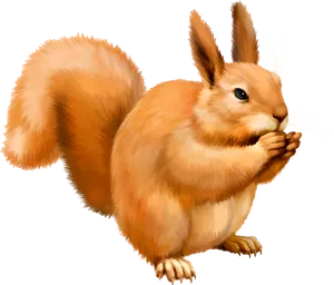 Orange Squirrel Eating Nut