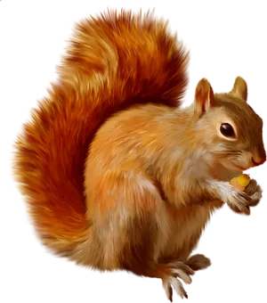 Orange_ Squirrel_ Holding_ Nut.png