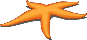 Orange Starfish Clipart PNG image