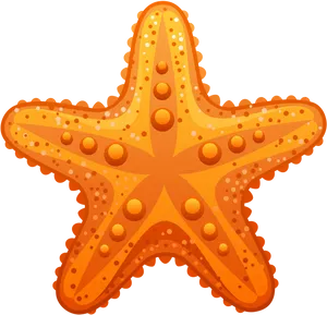 Orange Starfish Clipart PNG image