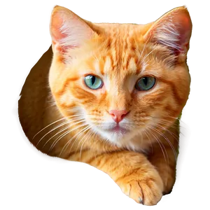 Orange Tabby Cat Transparent Asc PNG image